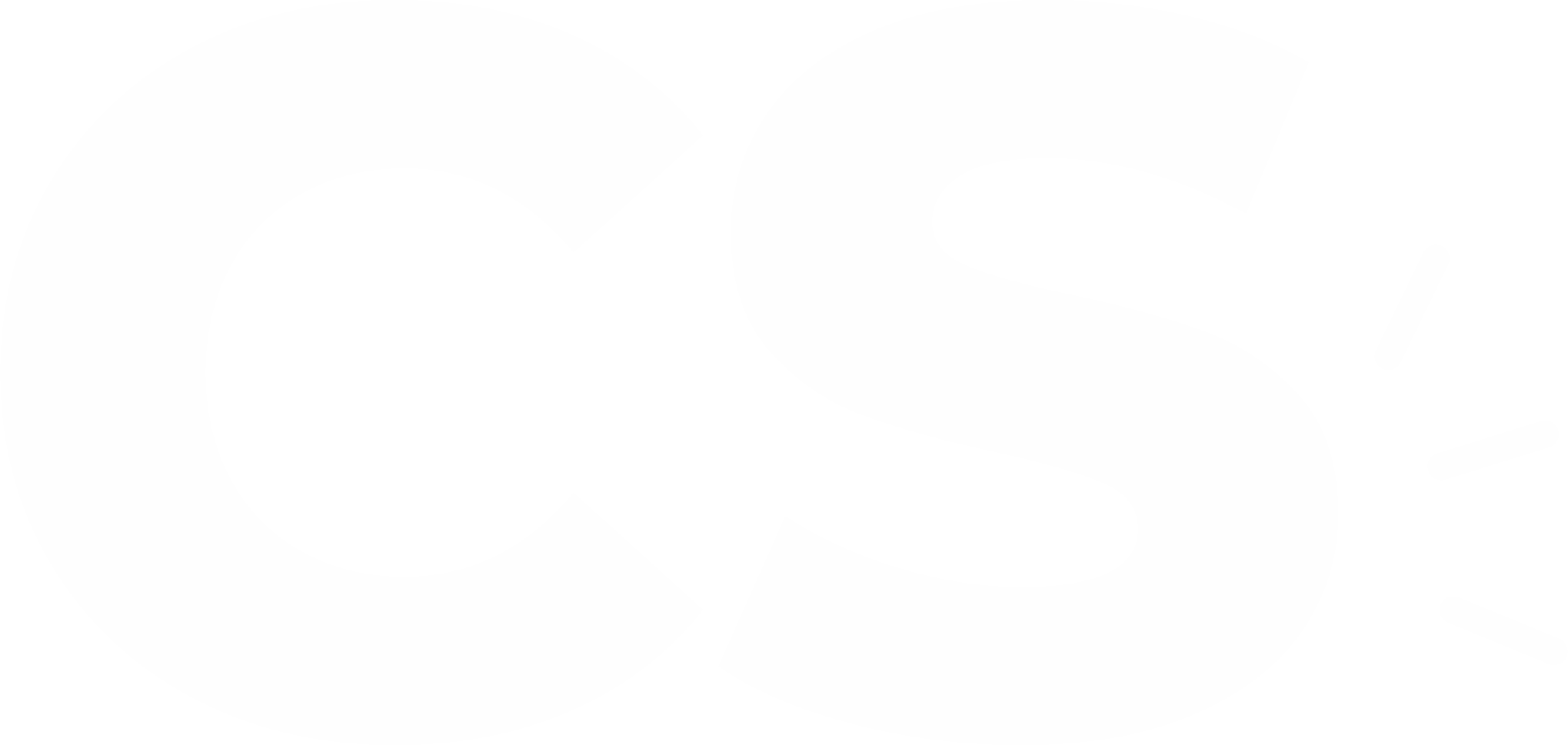 CS Agencia de marketing e posicionamento digital para mulheres